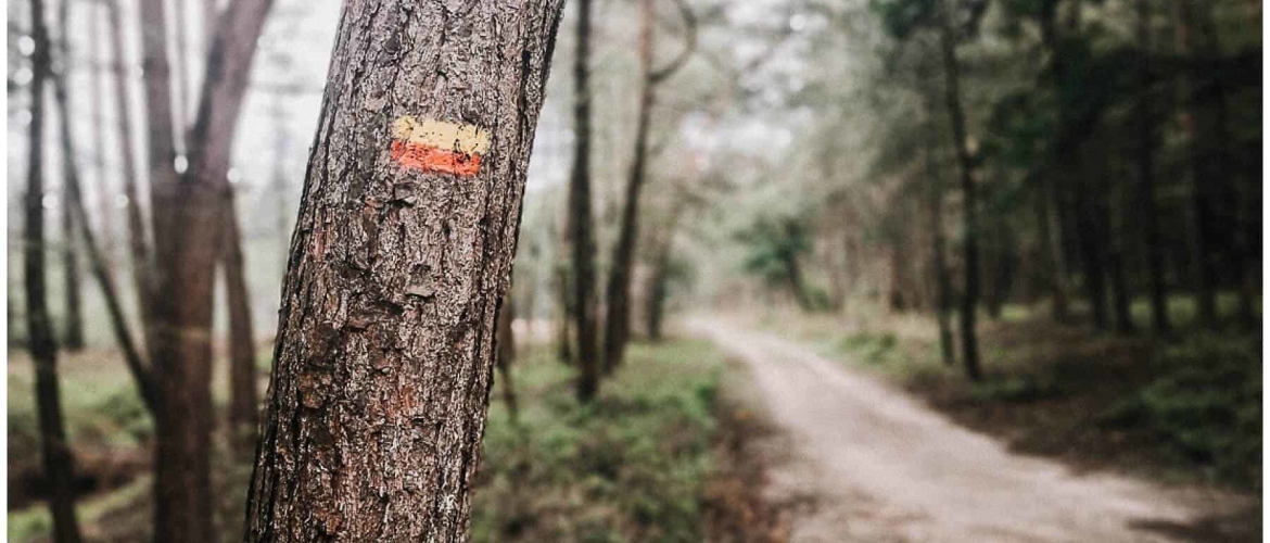 Over het Veluwe Zwerfpad van Hoog Soeren naar Vaassen