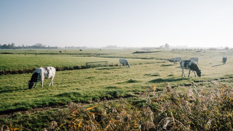 microavontuur-wandelen-dokkum