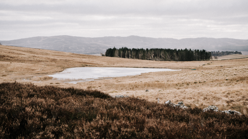 mini-cateran-trail-cairngorms