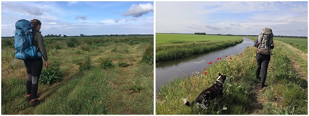 mini-trektocht met hond mini-trektocht-met-hond