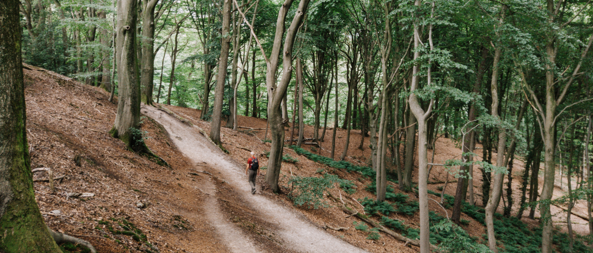 Wandelen op de N70: bergwandelen in Nederland