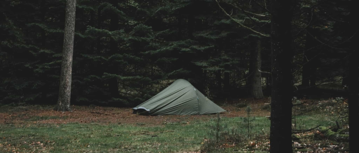 Natuurkampeerterrein Borger: het hele jaar door kamperen in het bos