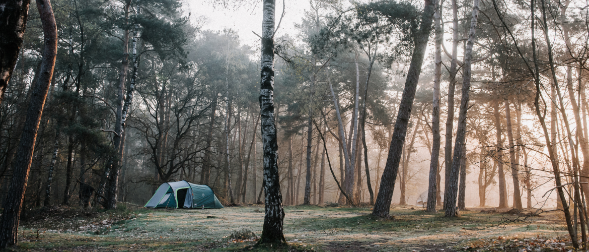 Natuurkampeerterrein Quadenoord: kamperen op de Veluwe