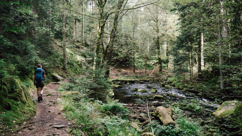 noordelijke-zwarte-woud-wandelroutes