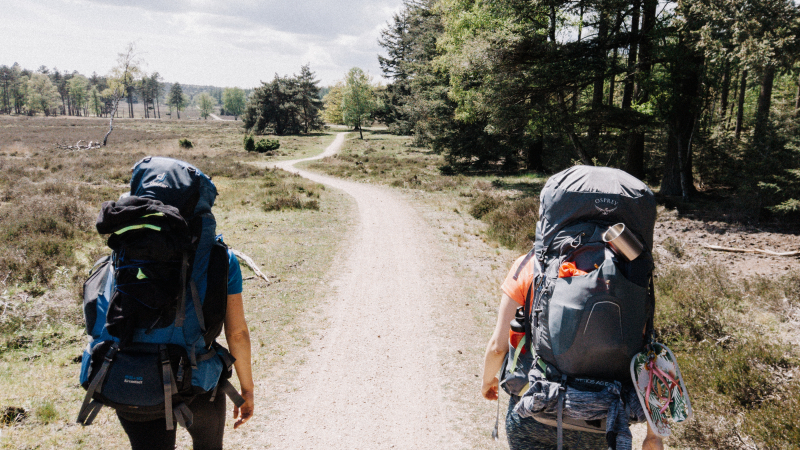 oefentocht-lange-wandeltocht