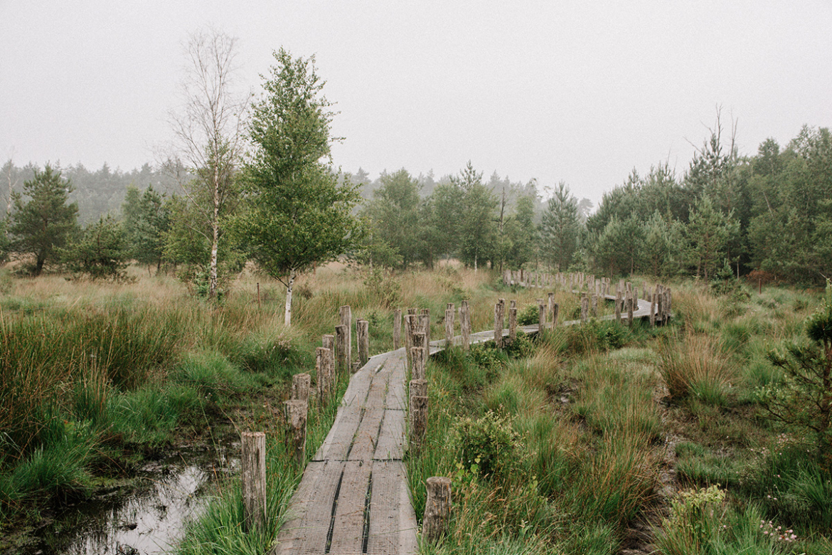 plankenpad-spier