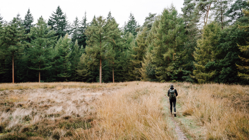 raatakkers-drenthe-microavontuur