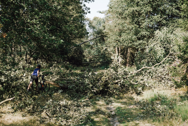 reisverslag-fietsen-drenthe