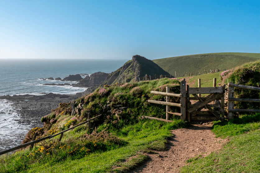 Boek: Het Zoutpad van Raynor Winn