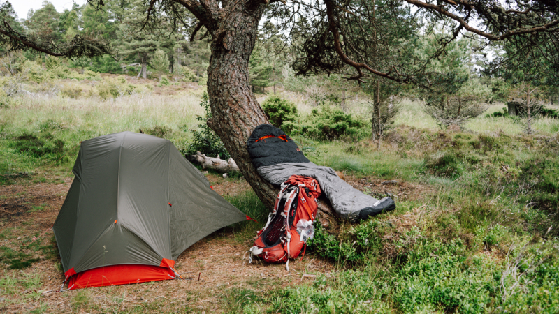 solo-wildkamperen-spannend