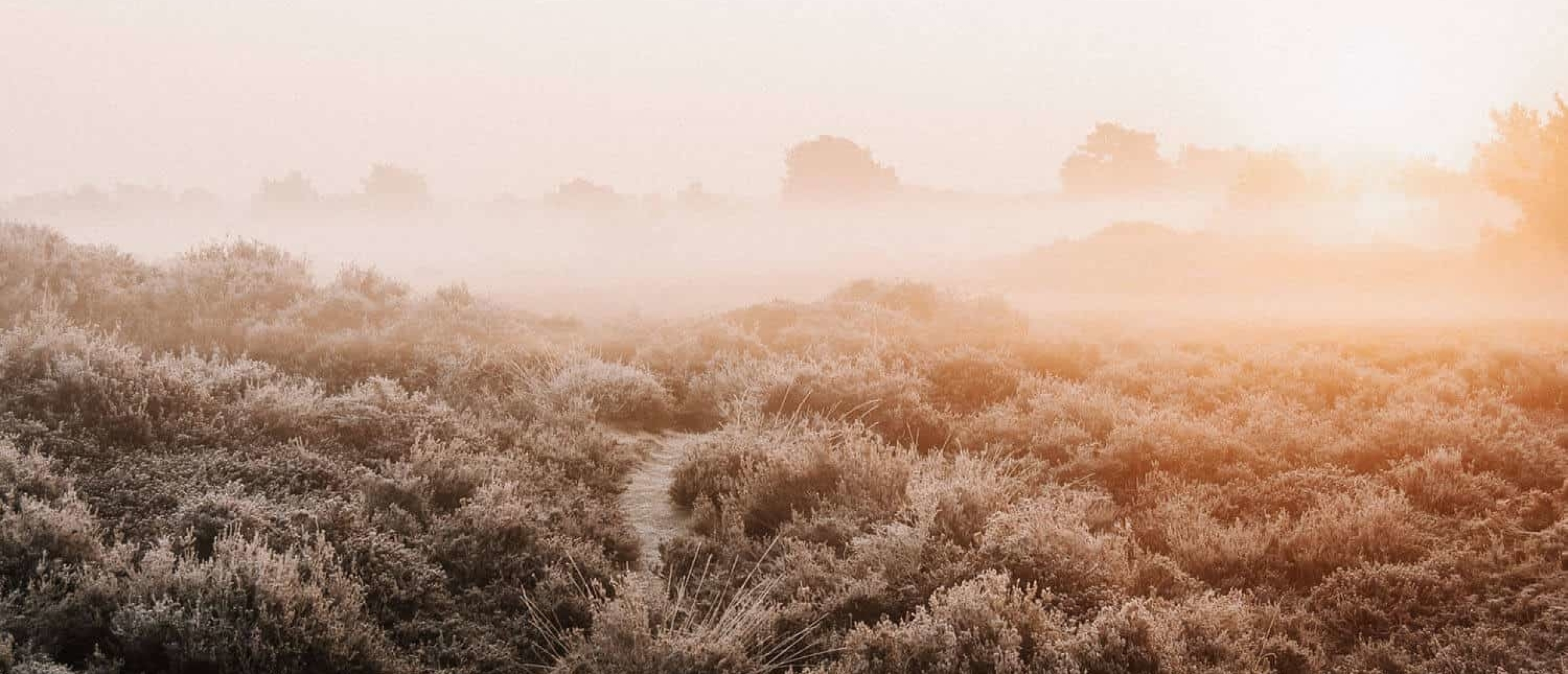 mindful wandelen mindful wandelen
