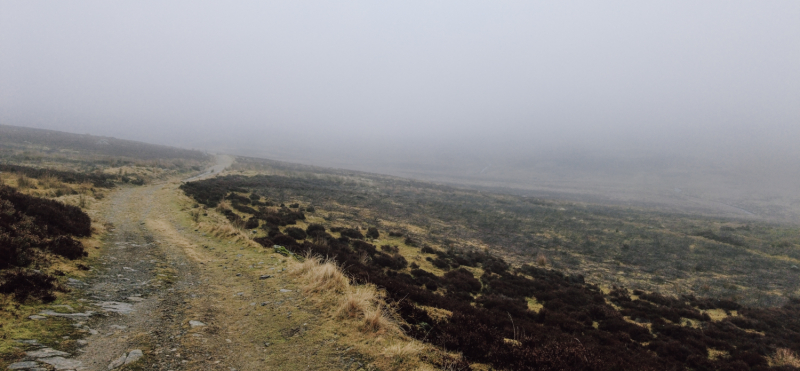 tips-wandelen-in-de-regen