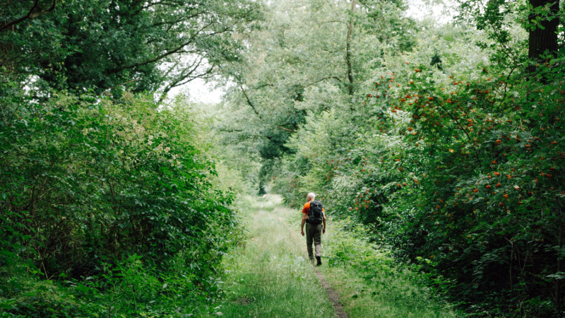 uitdagend-weekend-wandelen-twente