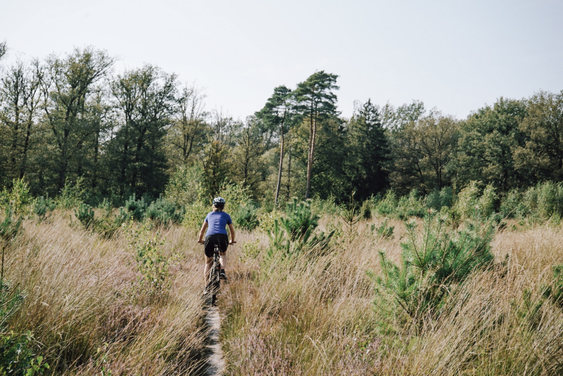 verslag-fietsen-drenthe