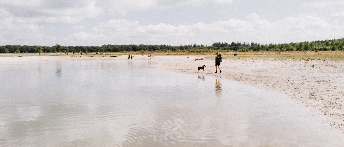 Wandelen langs trekkershutten in het Drents Friese Wold