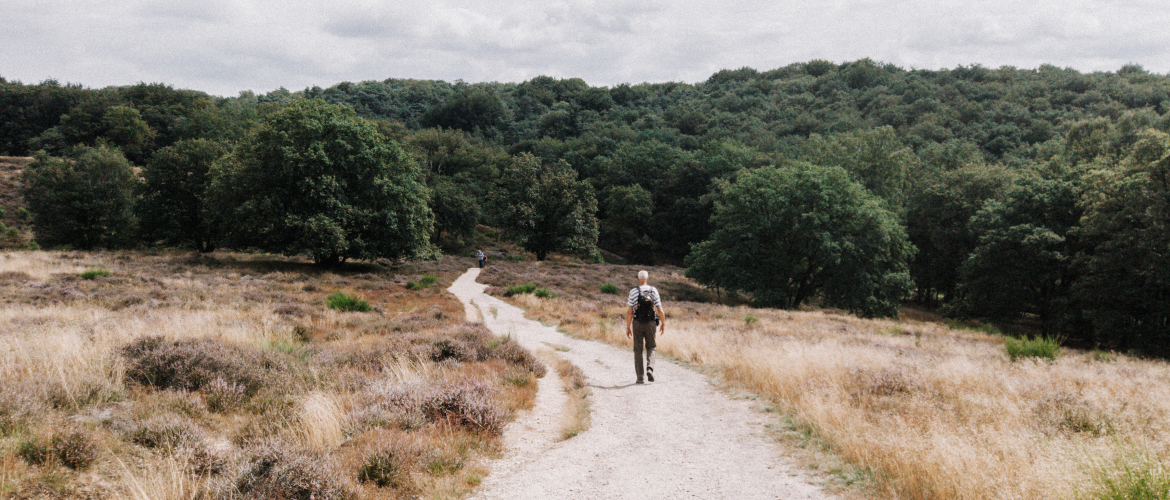 De mooiste wandelroutes op de Mookerheide