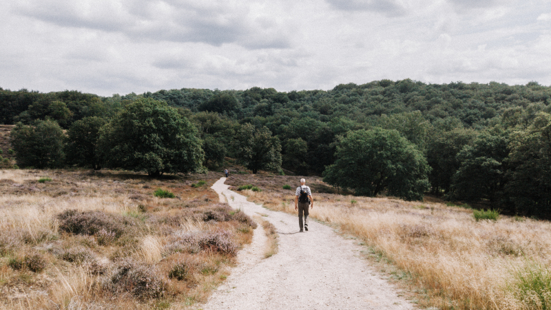 ns-wandeling-station-naar-station