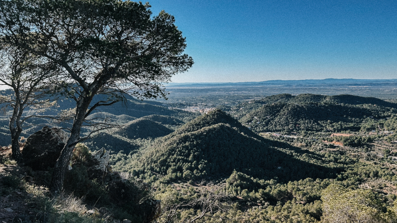 wandelen-natuur-valencia