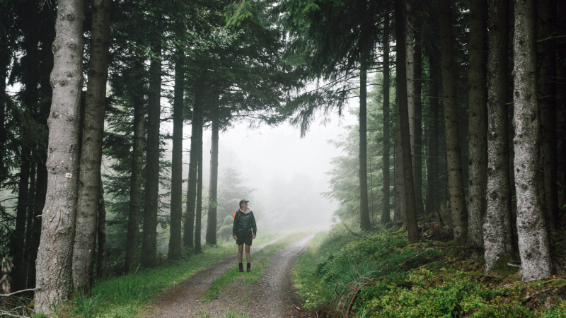 wandelen-routes-noordelijke-zwarte-woud