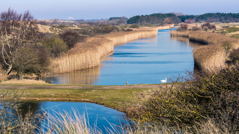 wandelen-waterleidingduinen