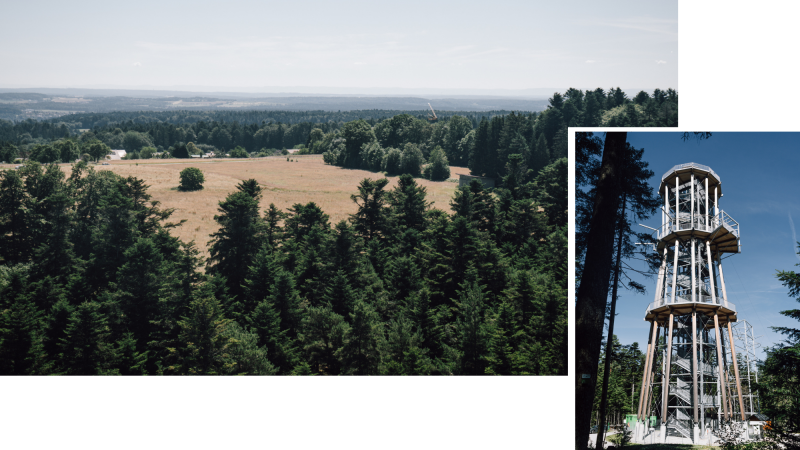 wandelroutes-noordelijke-zwarte-woud-zollernblickweg