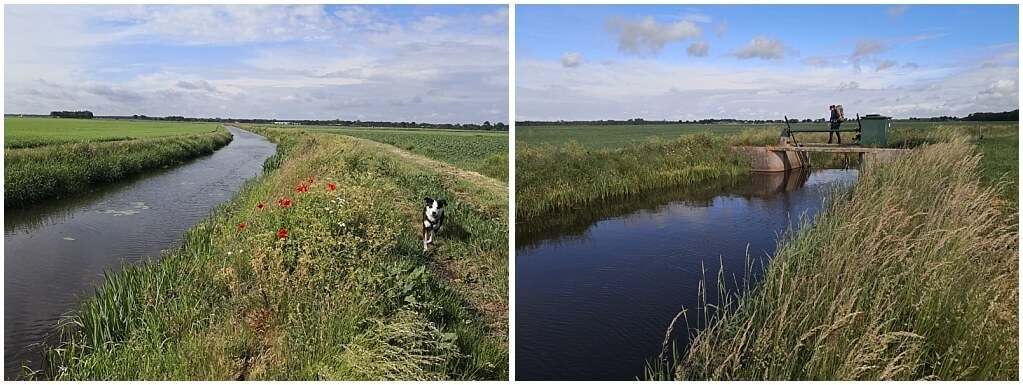 Op wandelvakantie in Drenthe wandelvakantie-drenthe-met-hond