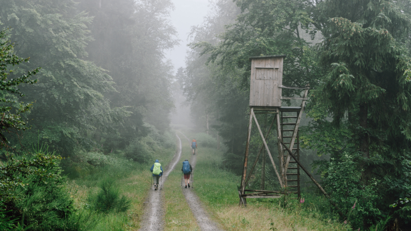 wandelvakantie-in-het-zwarte-woud