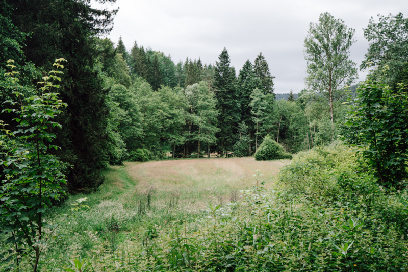 wandelvakantie-regio-zwarte-woud