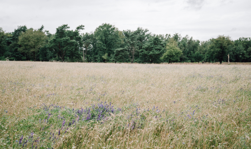 wandelweekend-twentepad