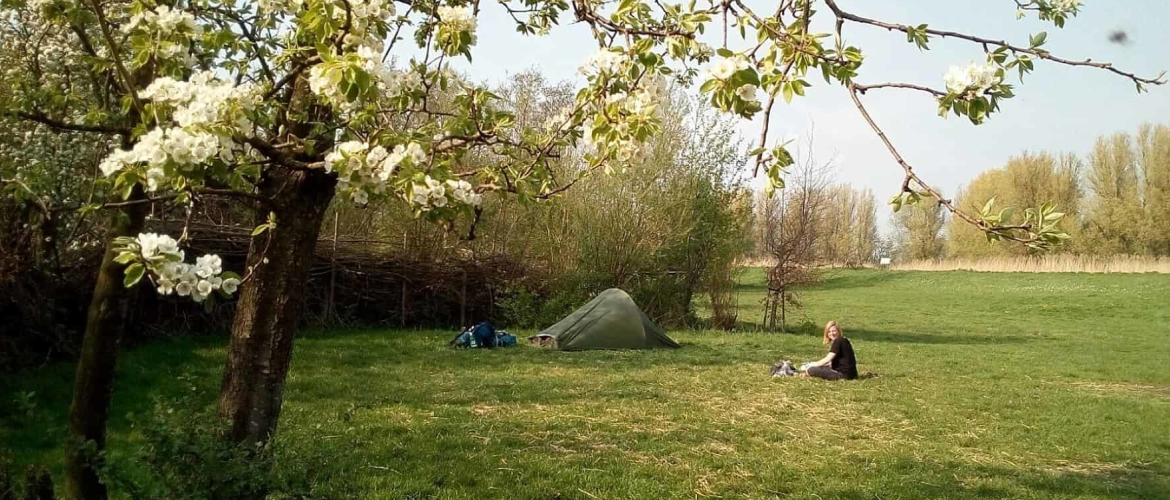 Wat is een natuurkampeerterrein?