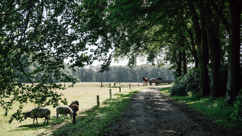 weekend-wandelen-twente-route