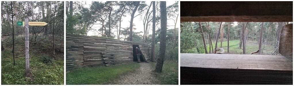 Je microavontuur op de Veluwe is niet compleet zonder wild kijken wild-kijken-veluwe-microavontuur