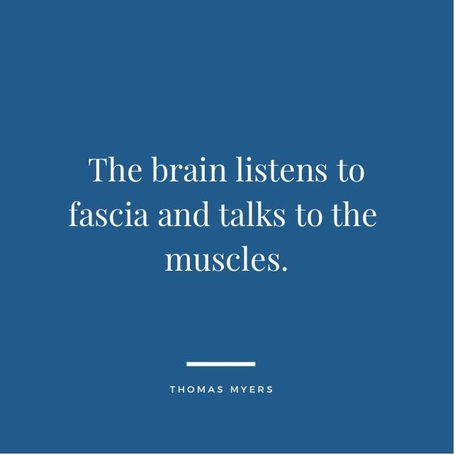 Fascia Fascia