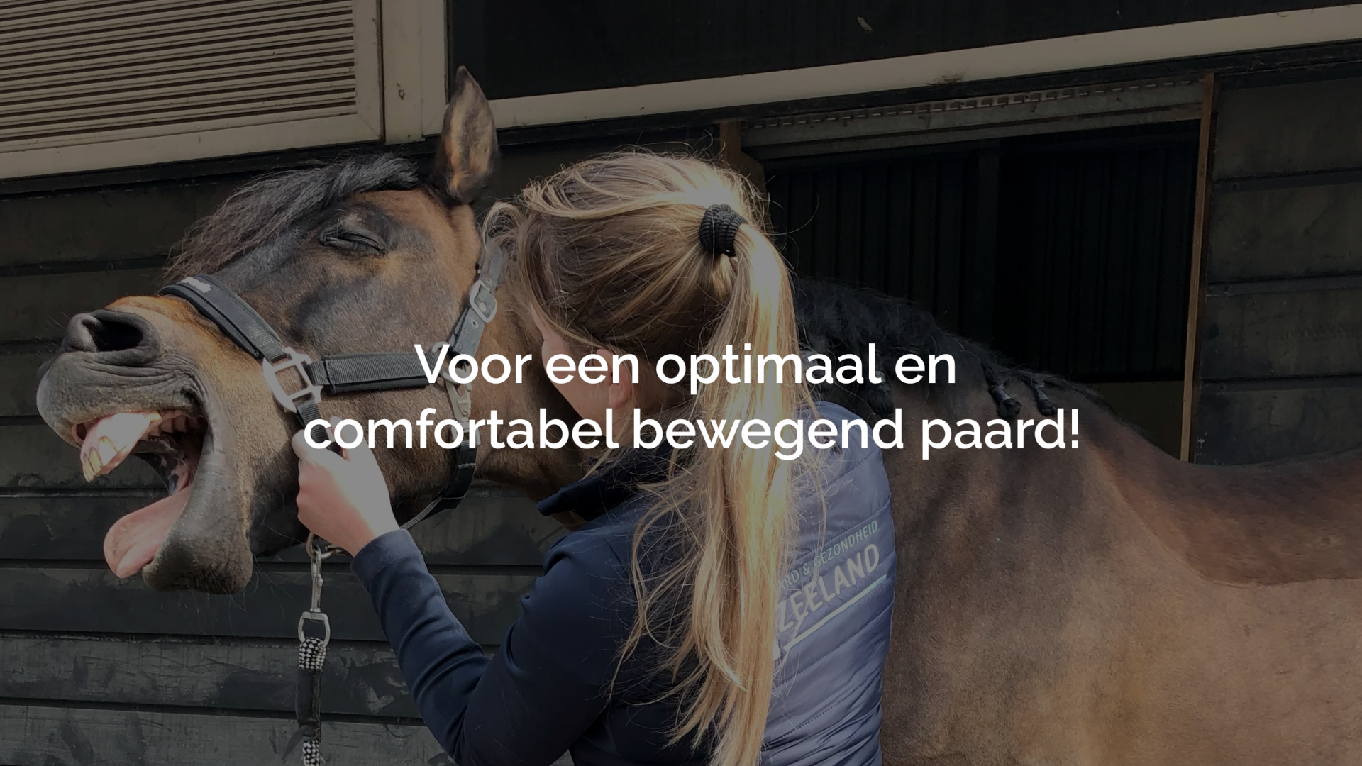 Paard en gezondheid Zeeland