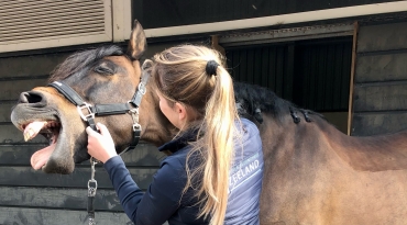 Voor een optimaal  en comfortabel bewegend paard!