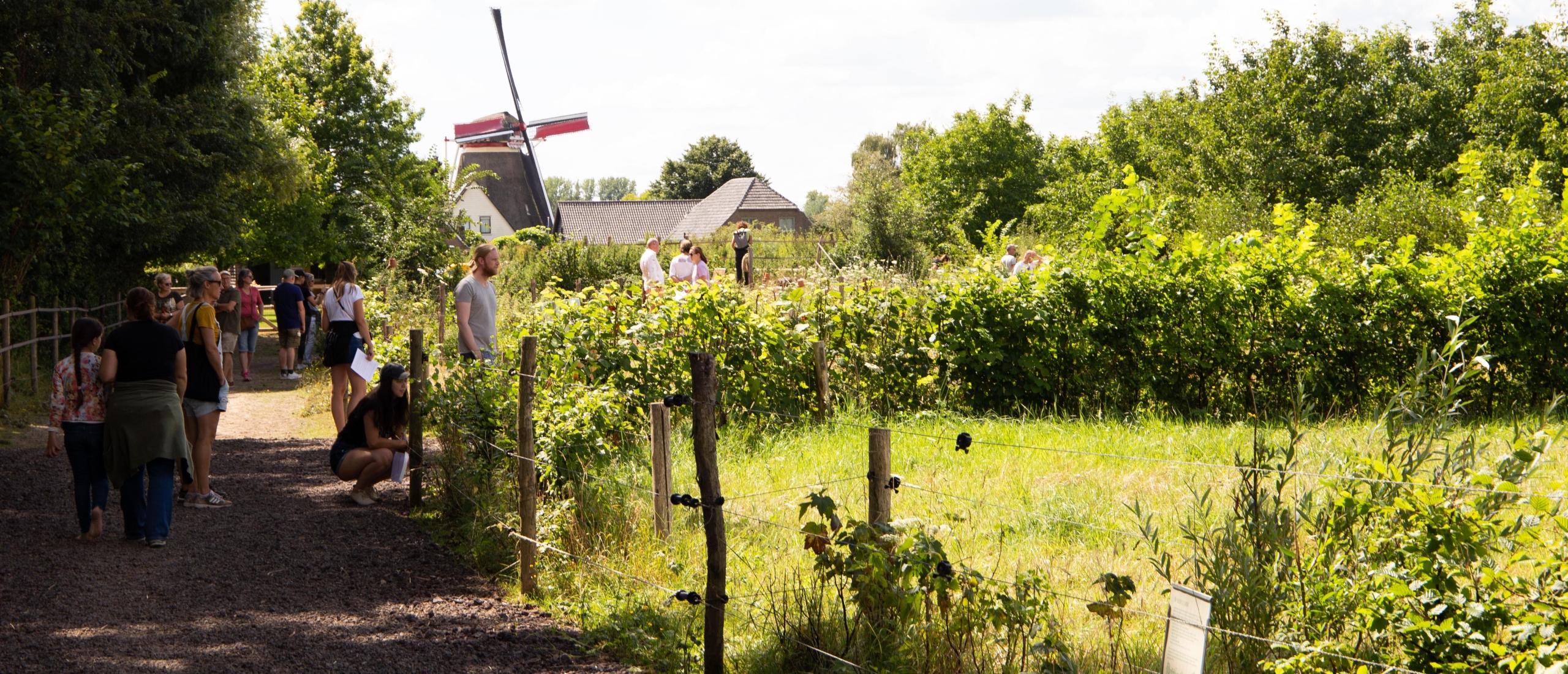 De Paardentuin in Winssen