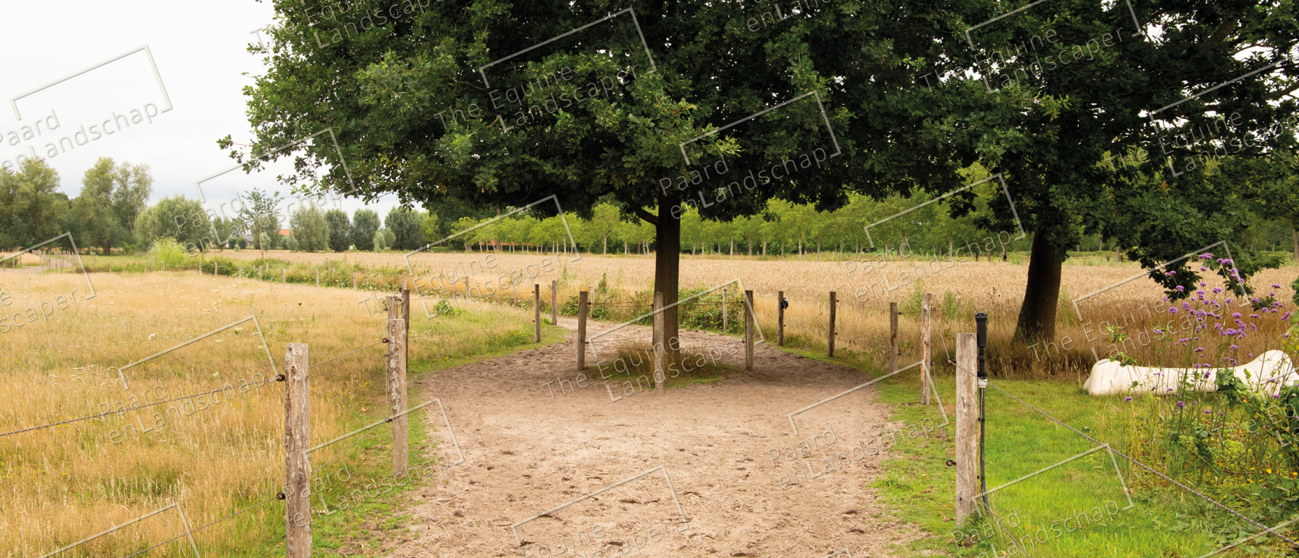 Paardentuin Amerongen 2