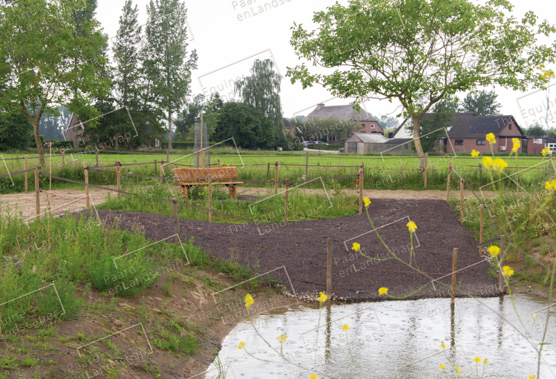 Poel