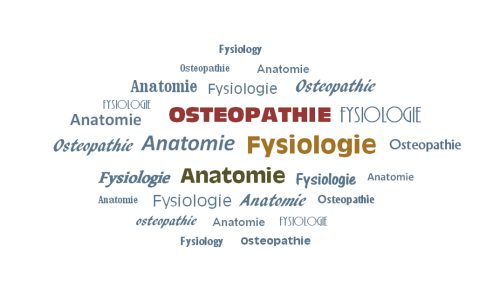 Woordwolk osteopathie, fysiologie, anatomie