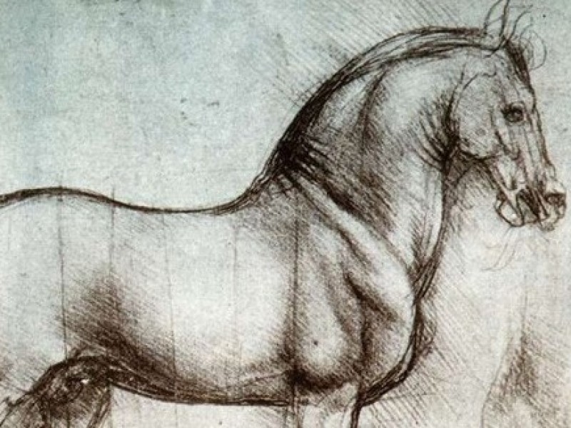 Paard van Michelangelo als symbool voor osteopathie
