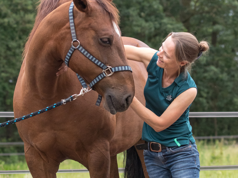 Hals van paard wordt door osteopaat onderzocht op restricties en blokkades