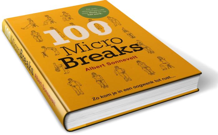 100 Micro Breaks - Albert Sonnevelt boek