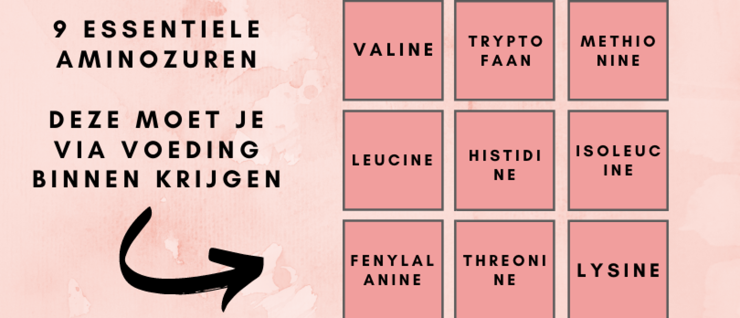 Wat zijn de 9 essentiële aminozuren die ons lichaam niet zelf kan aanmaken?