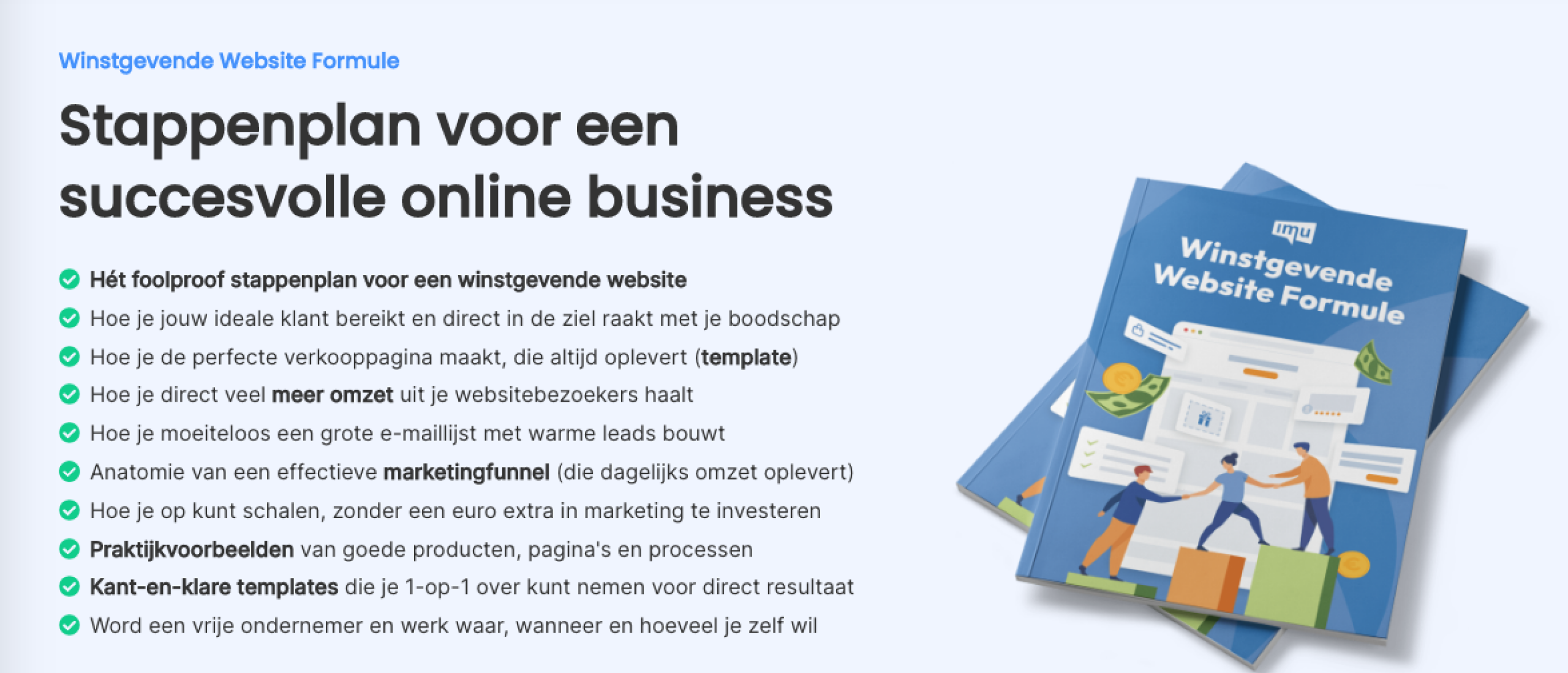 Blog: Winstgevende Website Formule van de IMU