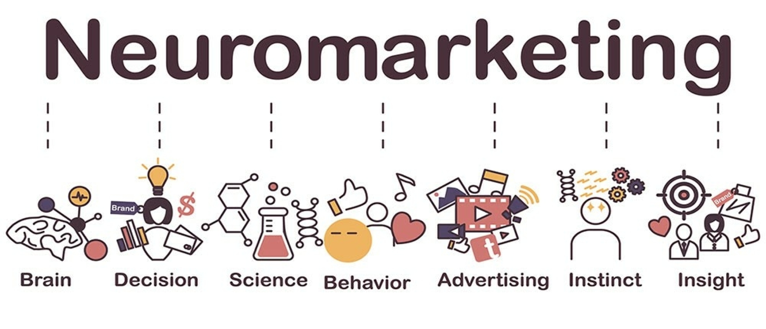 Neuromarketing: De Wetenschap Achter Consumentengedrag (deel 1)