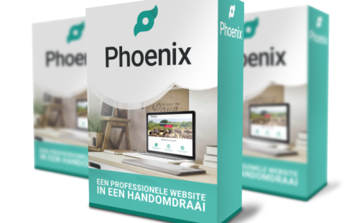 Phoenix website software