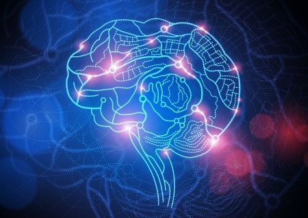 Wat gebeurt er in uw hersenen?