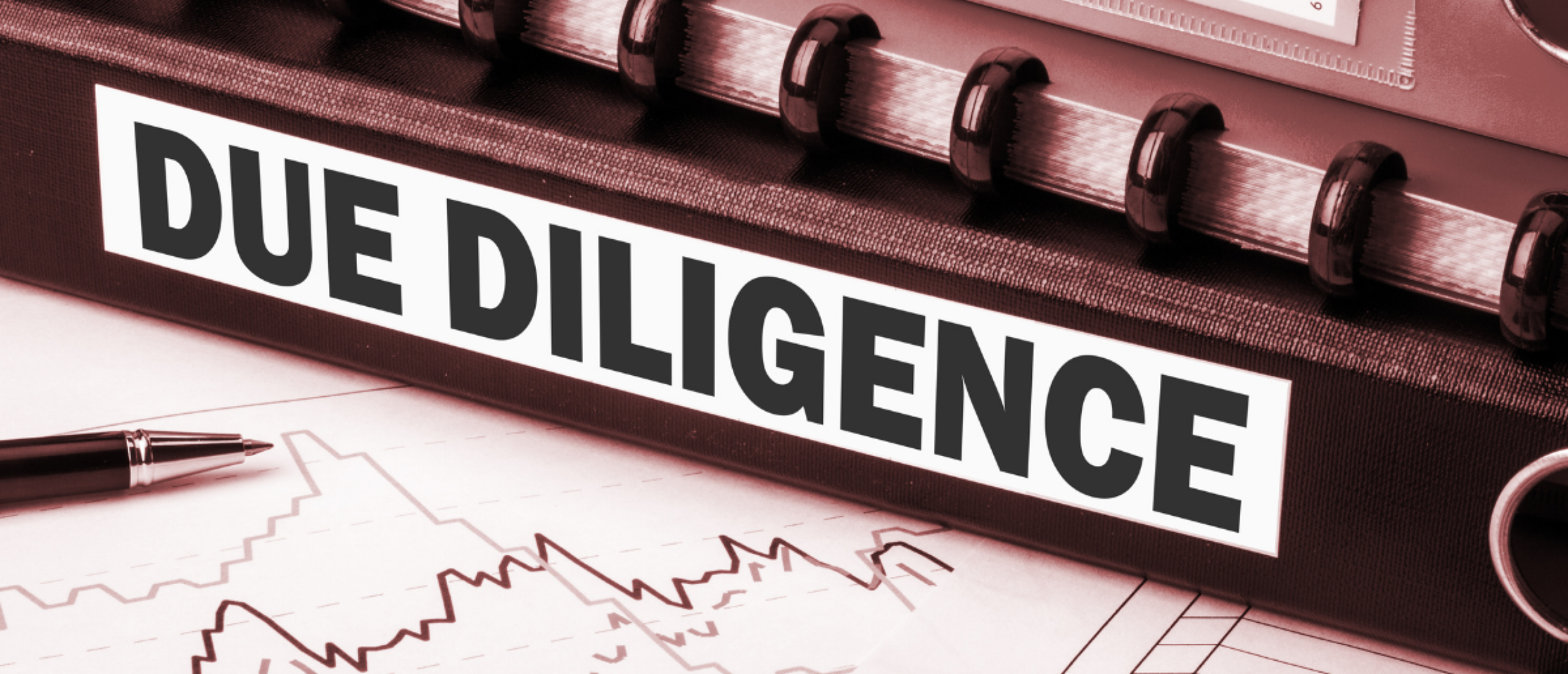 Due diligence