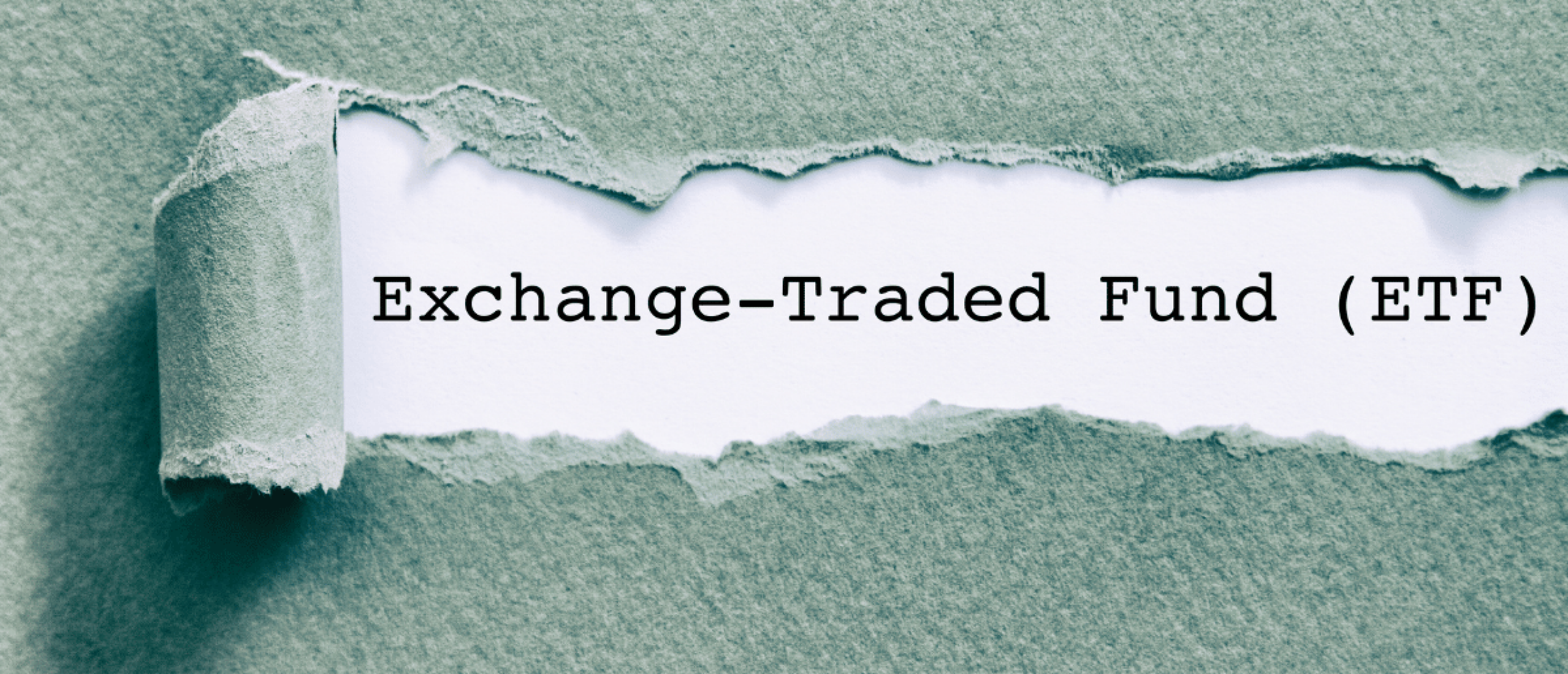 Exchange Traded Fund (ETF)