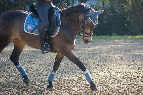 Fine Saddlery dressuur zadel